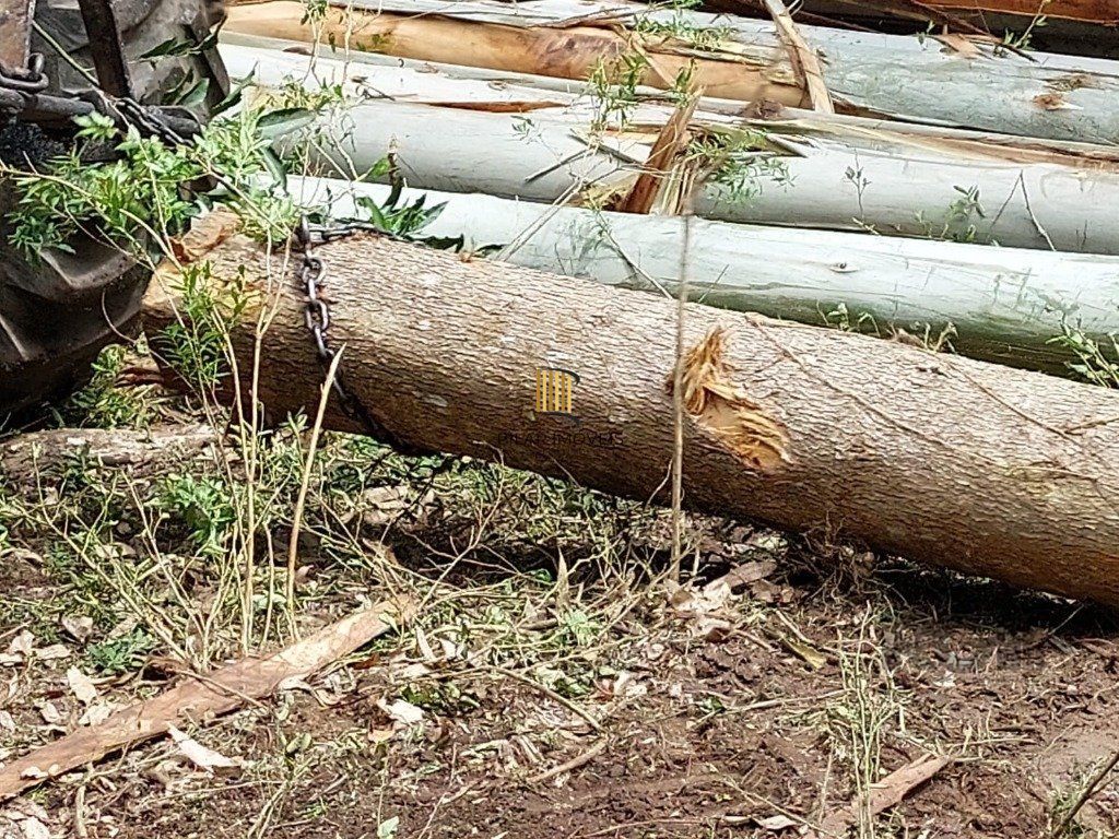 Fazenda 4 Dormitório(s) Bairro Zona Rural