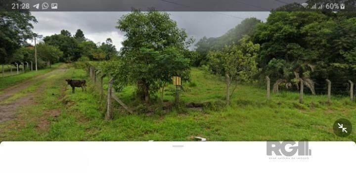 Sítio no bairro ZN