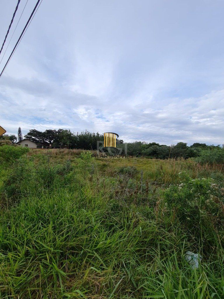 Terreno para Venda - 11800m², 0 dormitórios, Centro