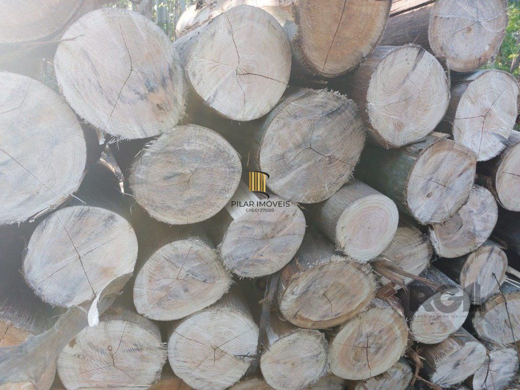 Fazenda 4 Dormitório(s) Bairro Zona Rural