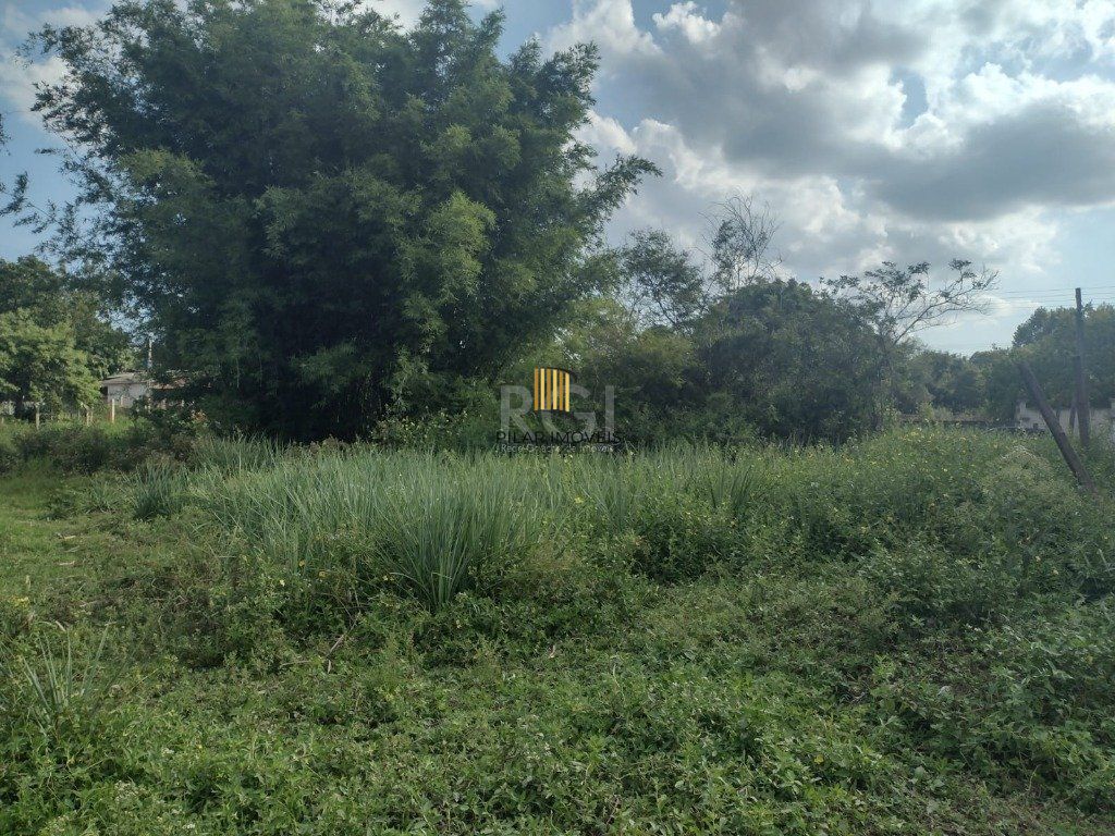 Terreno Bairro Costa Do Ipiranga