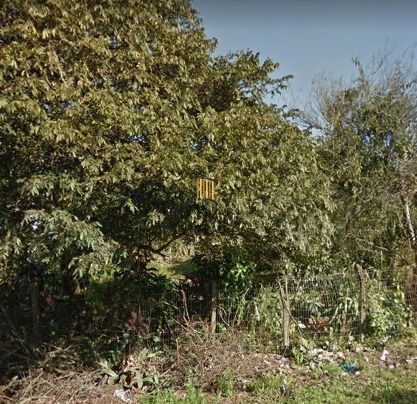 Terreno para Venda - 0m², 0 dormitórios, Barnabé - Pilar Imóveis