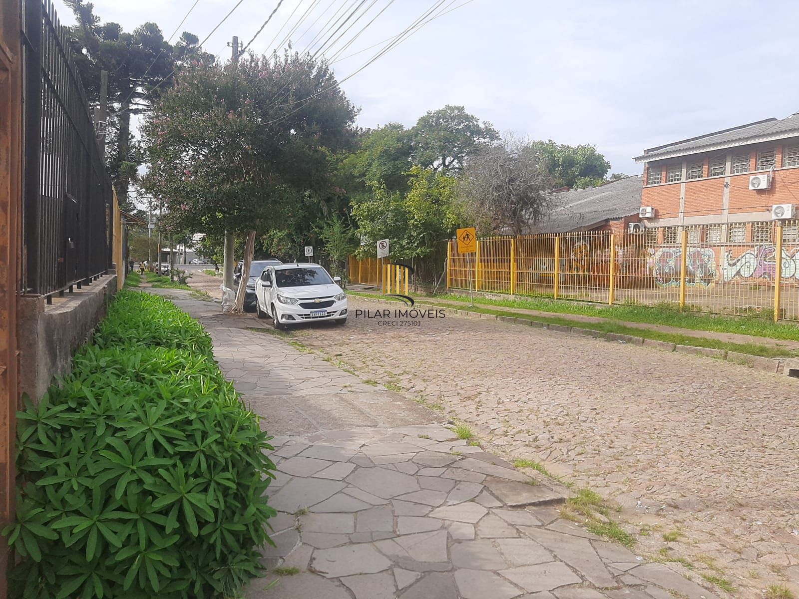 Terreno no Morro Santana Junto Av. Protásio Alves