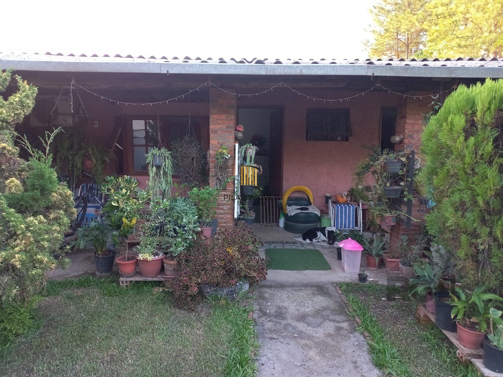 Sítio com 1000m²  em Belém Novo - Pilar Imóveis