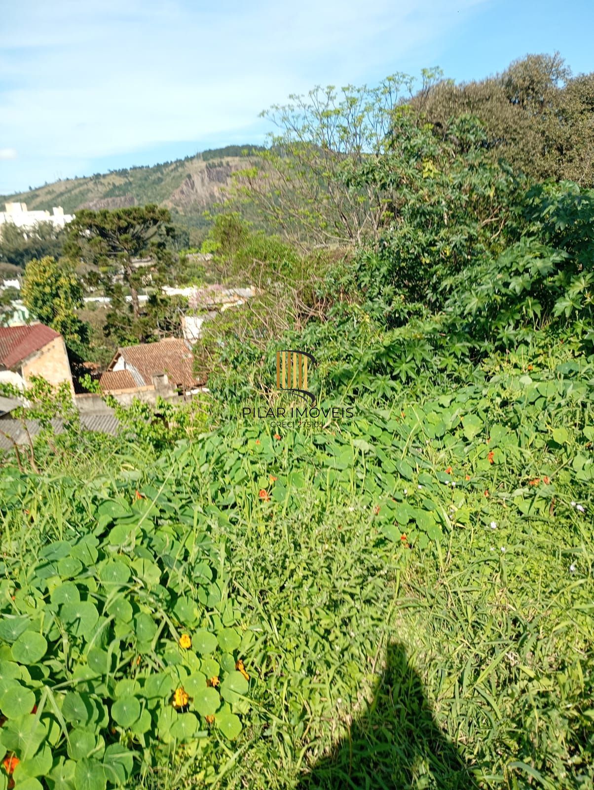 Terreno com 350m2 a duas quadras da Protásio Alves