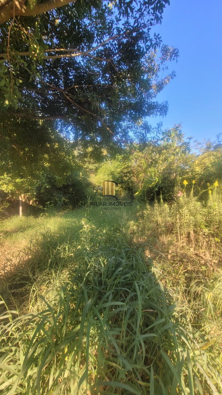 Terreno 13x30 no Leteamento Vista Alegre em Cachoeirinha