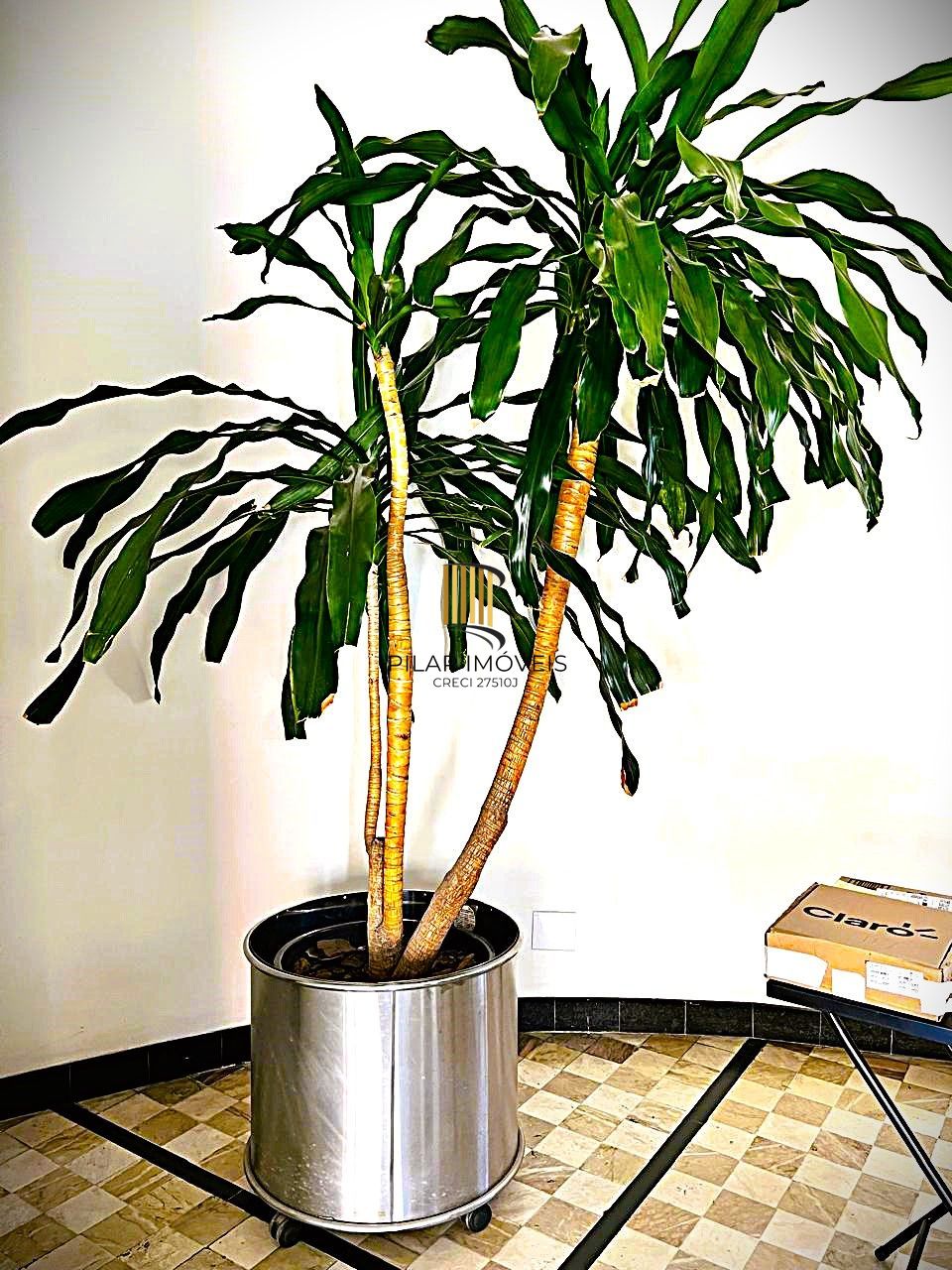 Excelente apartamento 3 dormitórios com vista para o Guaíba em frente a Santa Casa - Edif. Santa Tecla