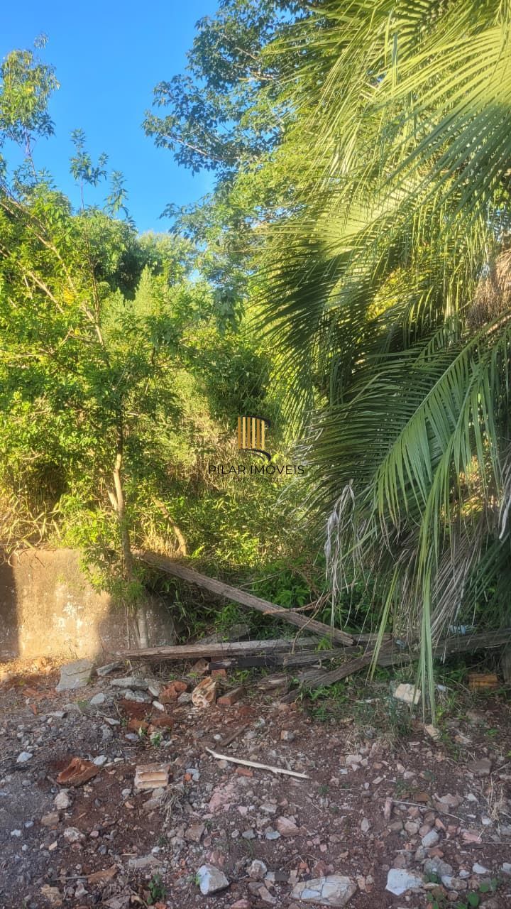Terreno 13x30 no Leteamento Vista Alegre em Cachoeirinha