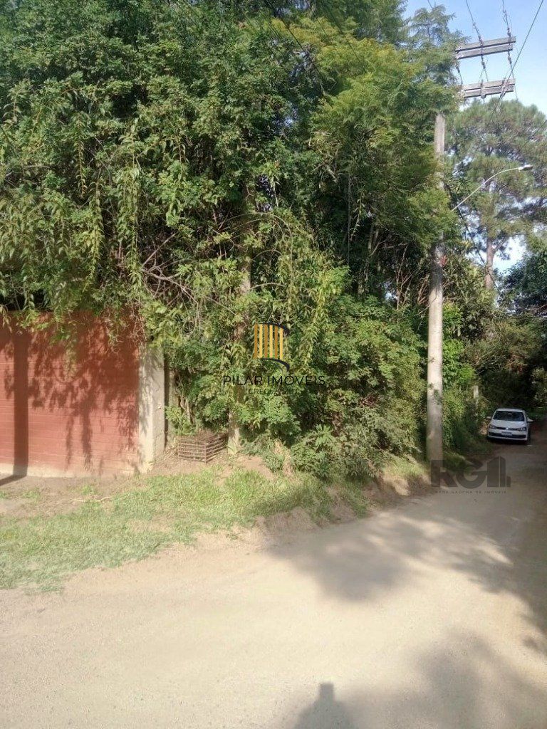 Terreno no bairro Chapéu do Sol