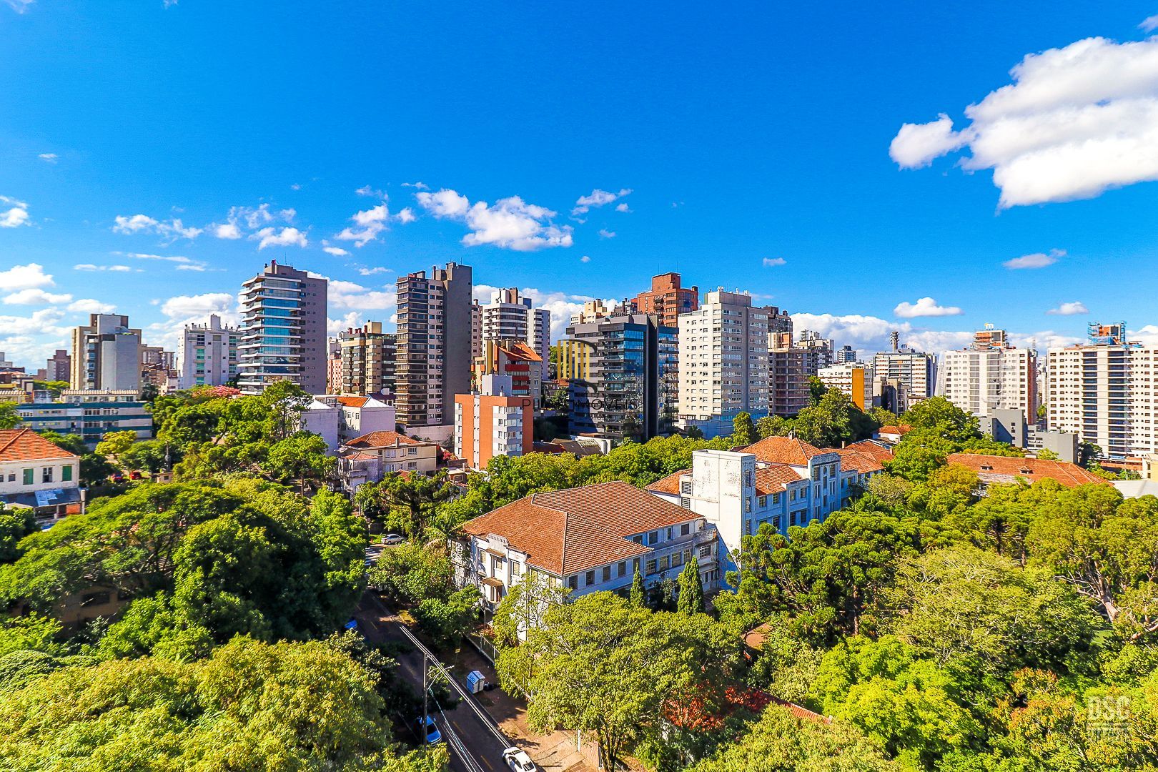 Bosque do Rio Branco