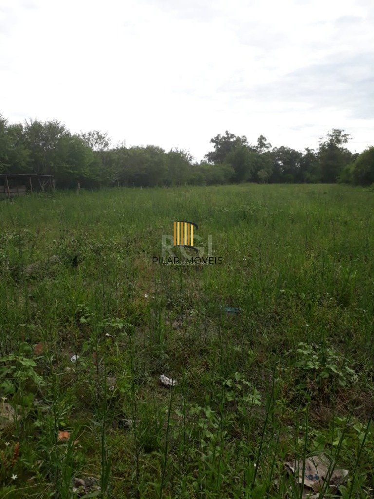 Area para Venda - 0m², 0 dormitórios, Campo Novo