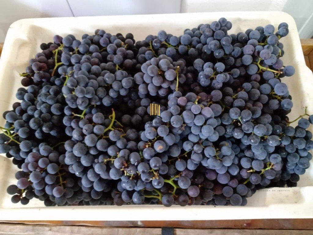 Fazenda 4 Dormitório(s) Bairro Zona Rural