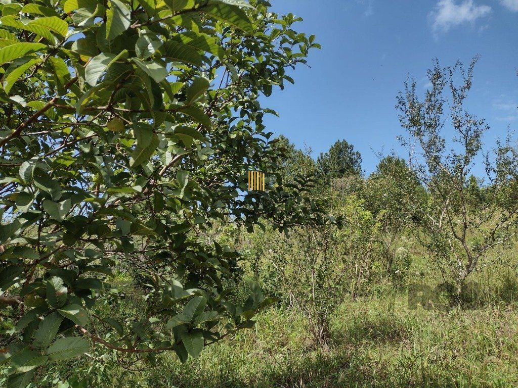 Sítio 1 dormitório no bairro Albatroz