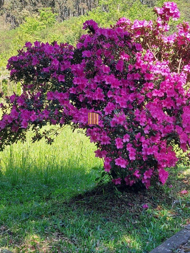 Fazenda 4 Dormitório(s) Bairro Zona Rural
