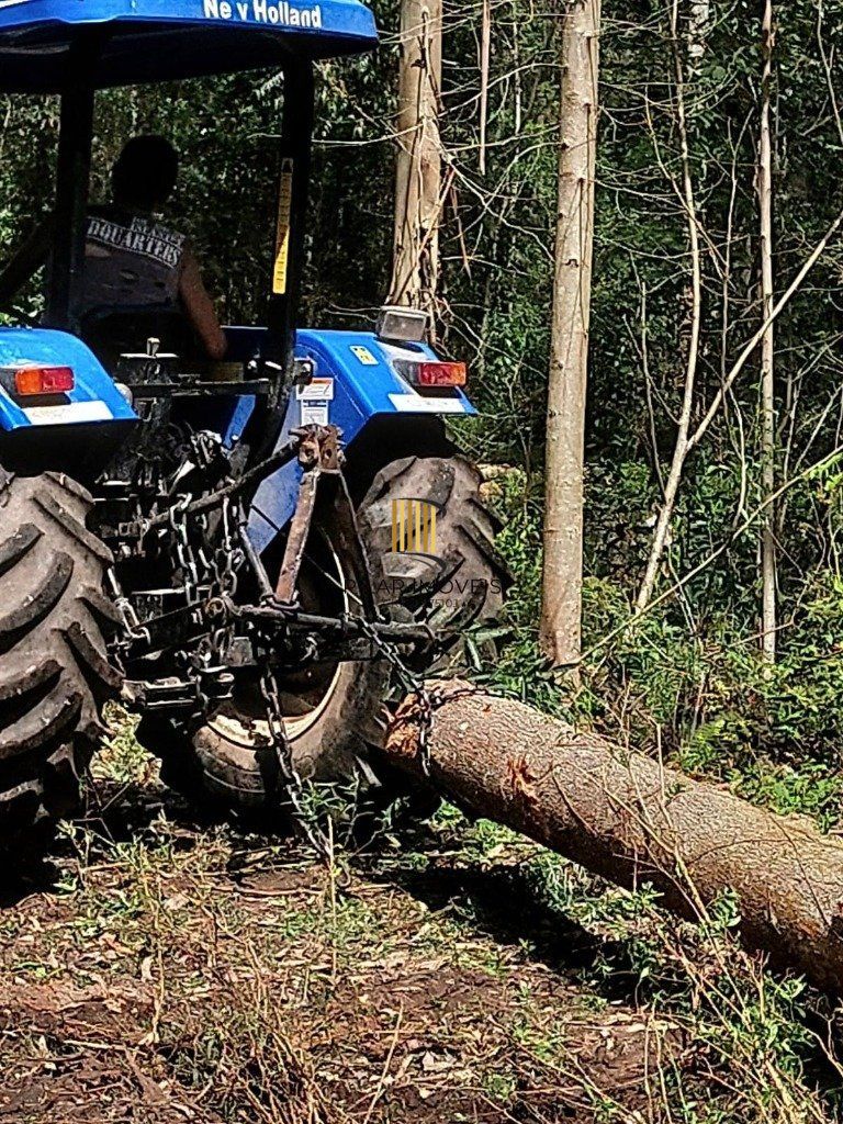 Fazenda 4 Dormitório(s) Bairro Zona Rural