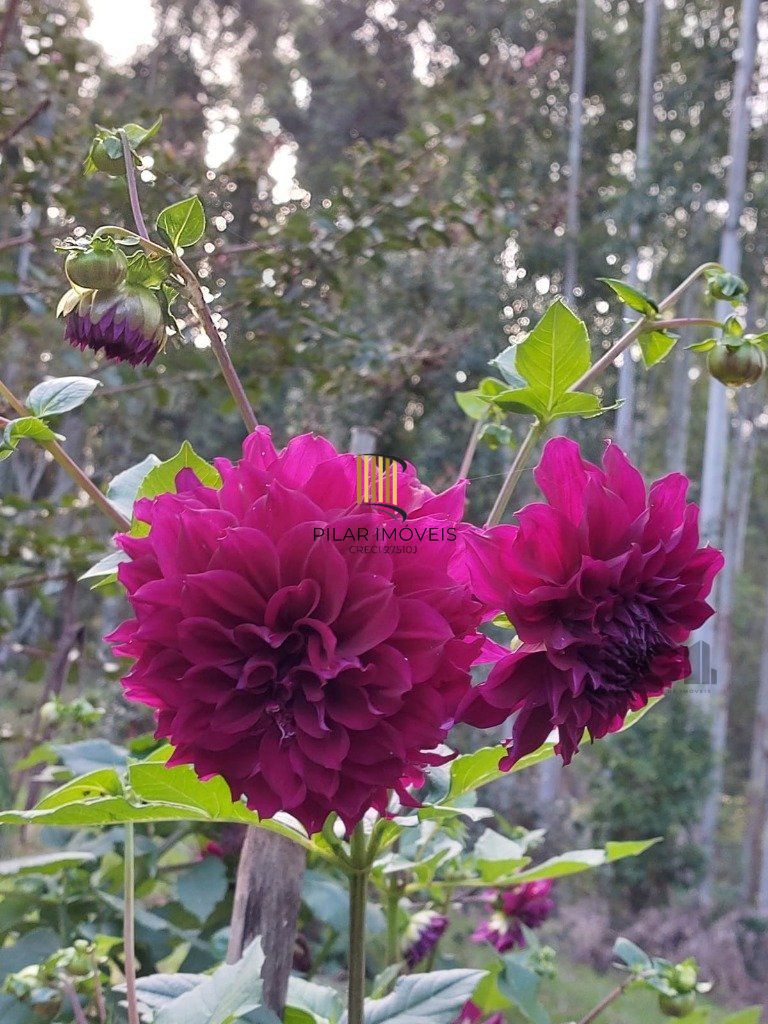 Fazenda 4 Dormitório(s) Bairro Zona Rural