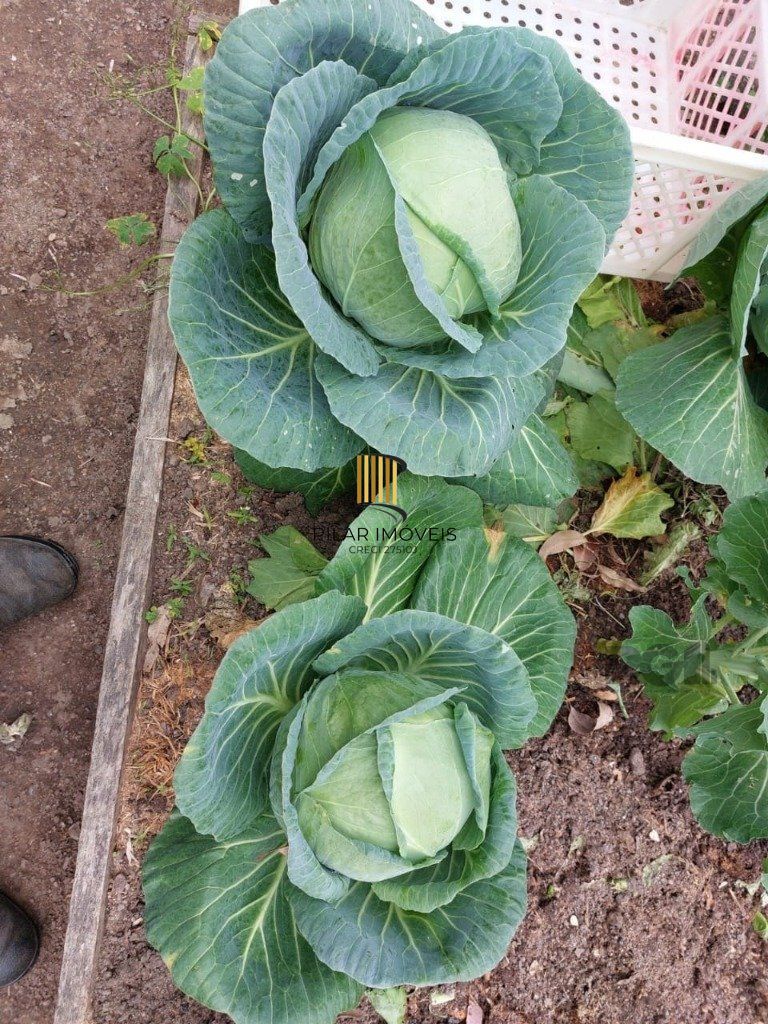 Fazenda 4 Dormitório(s) Bairro Zona Rural