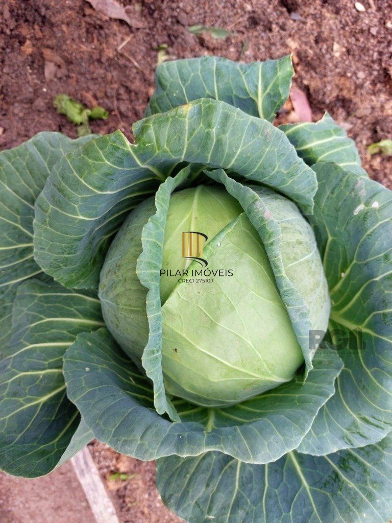 Fazenda 4 Dormitório(s) Bairro Zona Rural