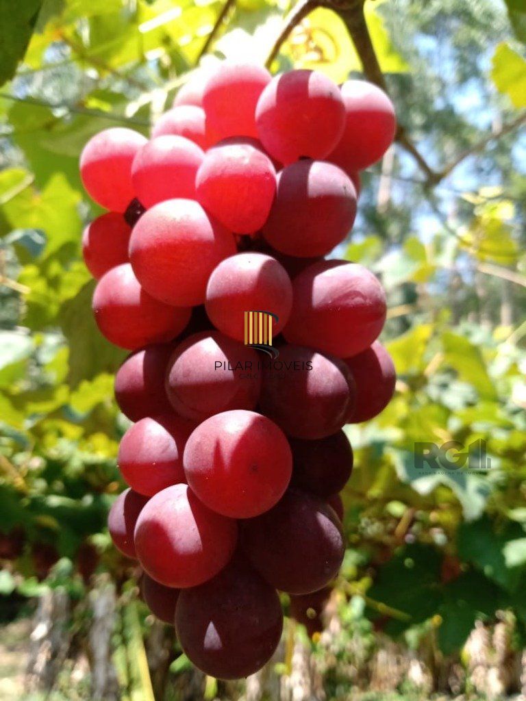 Fazenda 4 Dormitório(s) Bairro Zona Rural