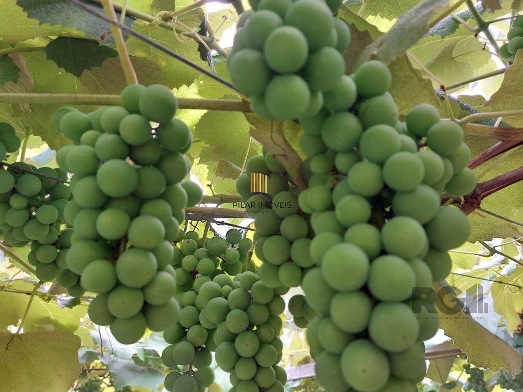 Fazenda 4 Dormitório(s) Bairro Zona Rural