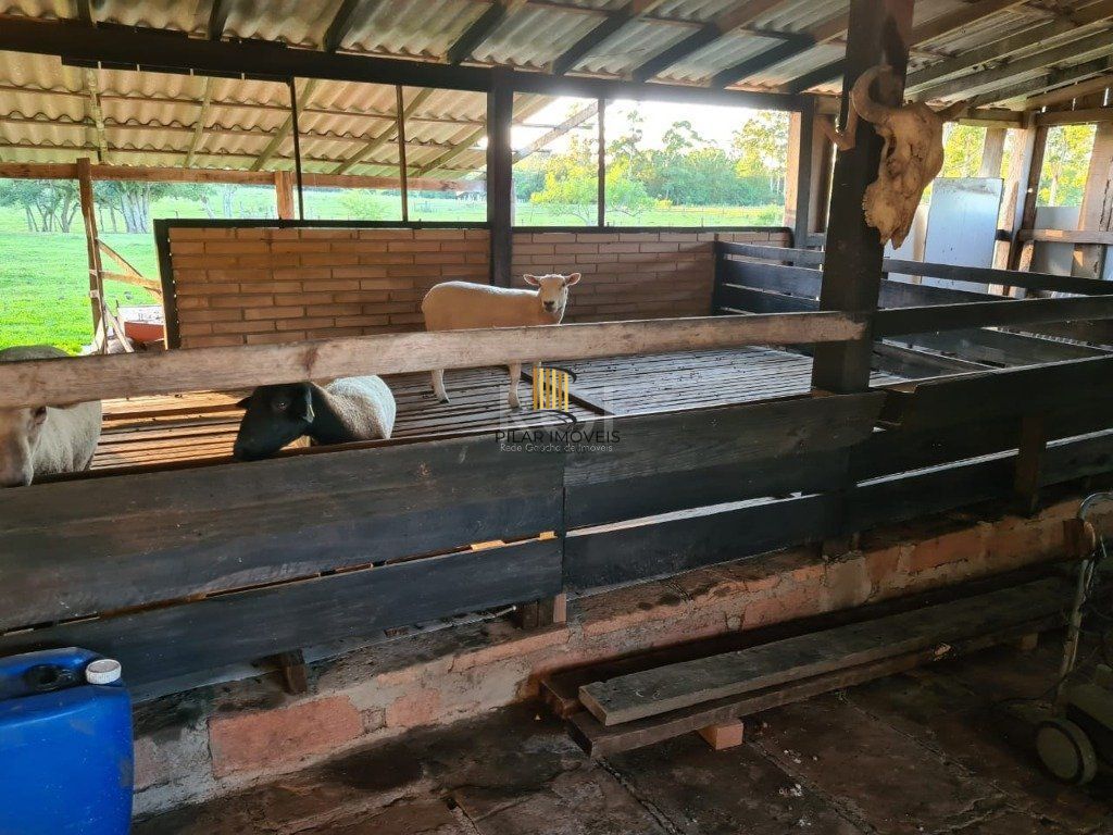 Sítio para Venda - 60000m², 3 dormitórios, Loteamento Rural Palermo