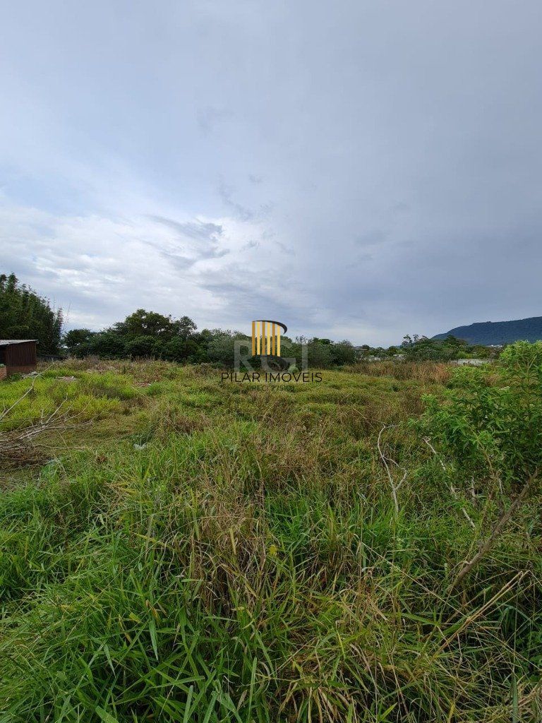 Terreno para Venda - 11800m², 0 dormitórios, Centro