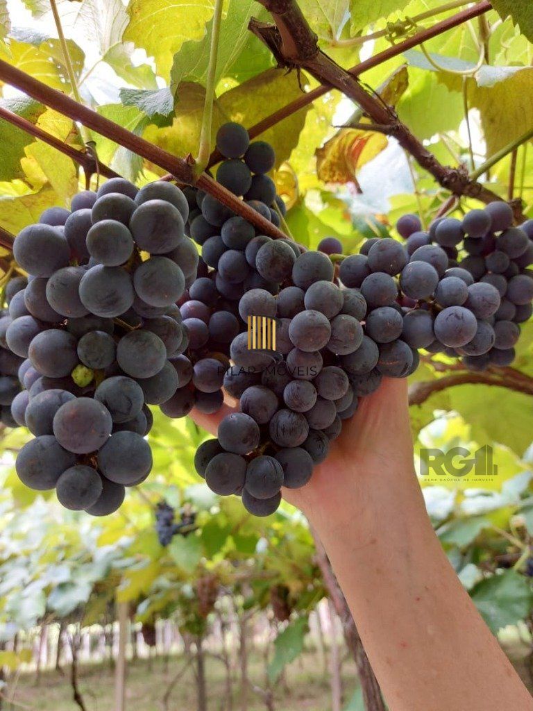 Fazenda 4 Dormitório(s) Bairro Zona Rural