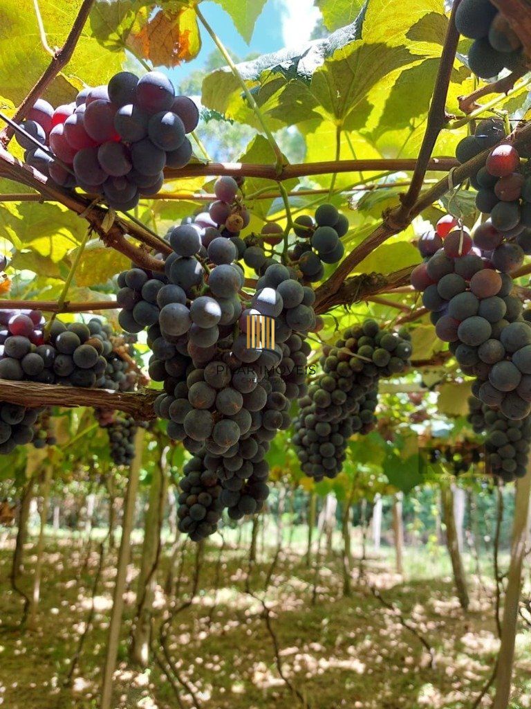 Fazenda 4 Dormitório(s) Bairro Zona Rural