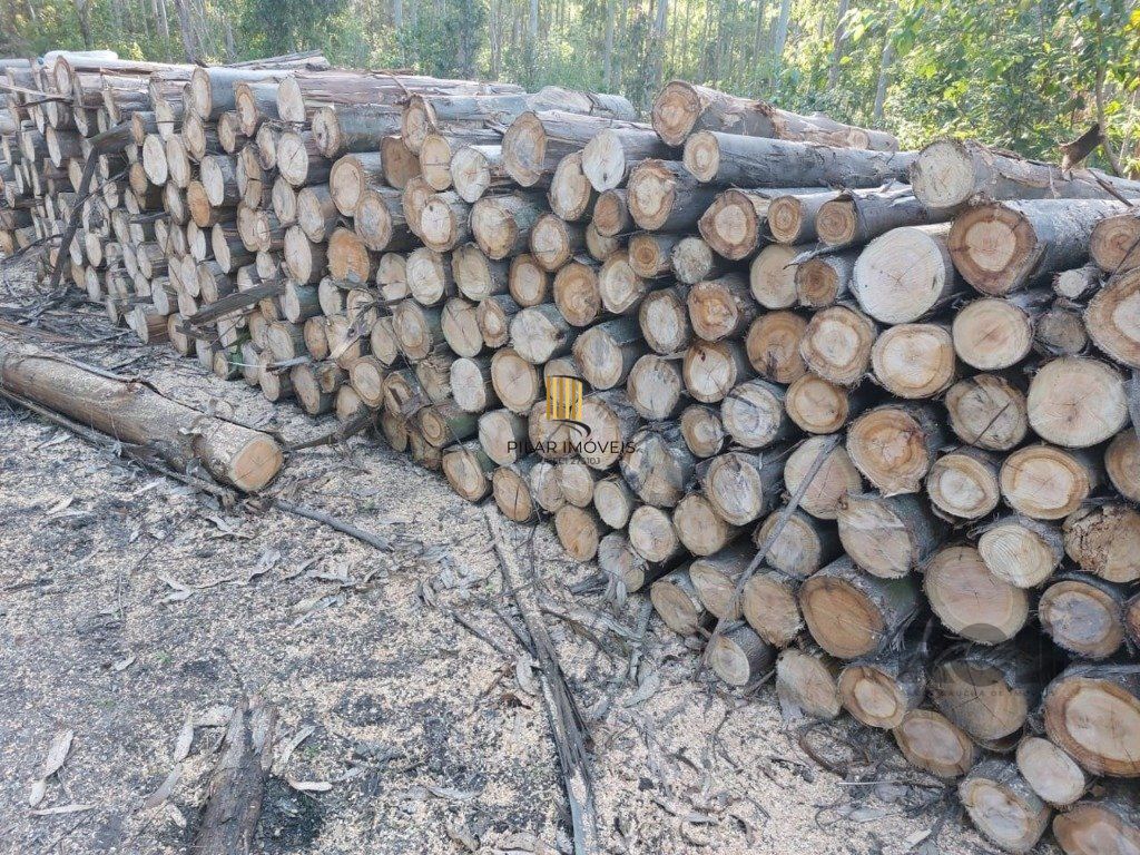 Fazenda 4 Dormitório(s) Bairro Zona Rural