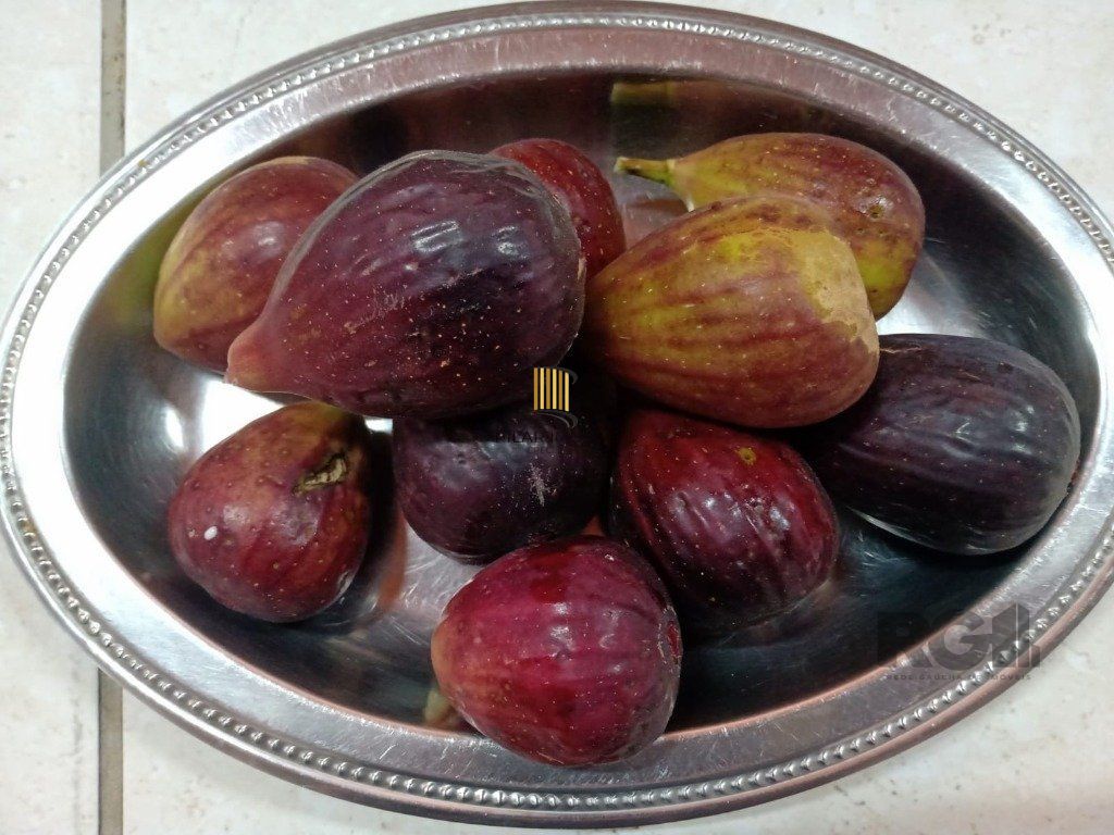 Fazenda 4 Dormitório(s) Bairro Zona Rural