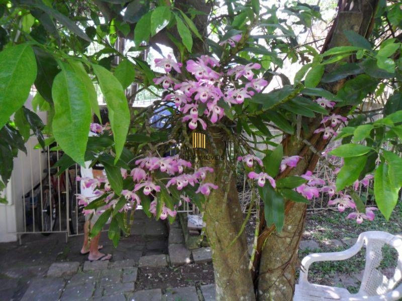 Casa para Venda - 348m², 3 dormitórios, sendo 1 suites, 2 vagas - Medianeira