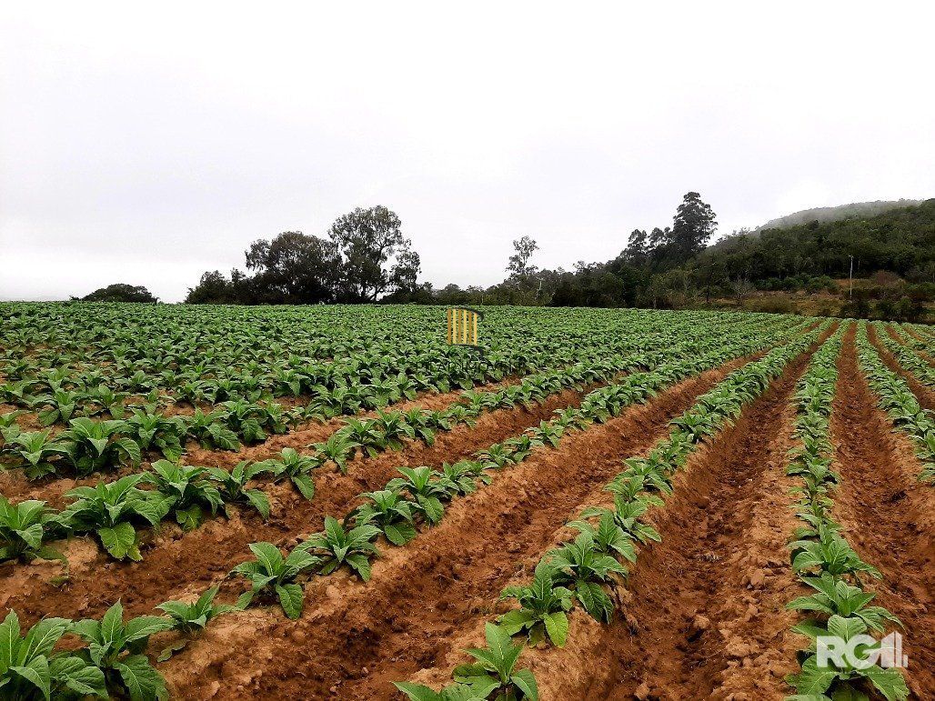 Area de terras cultivaveis