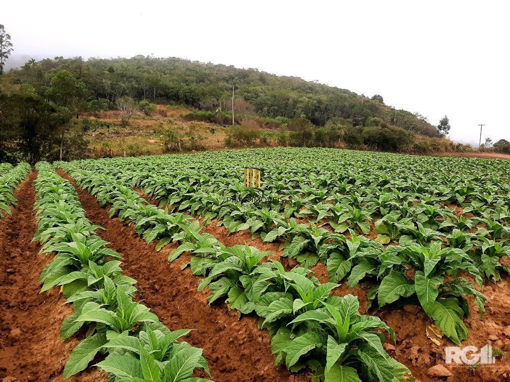 Area de terras cultivaveis