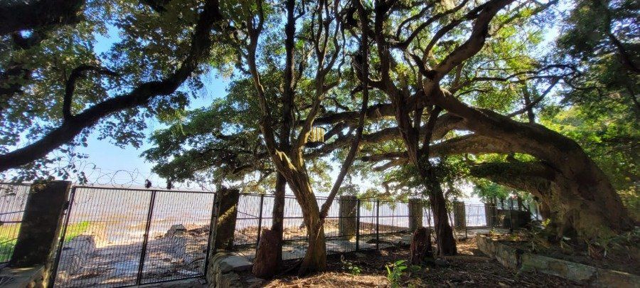 Venda Casa maravilhosa em terreno de 8.125m² com acesso ao Rio Guaiba,  na Estrada Retiro da Ponta Grossa - Porto Alegre
