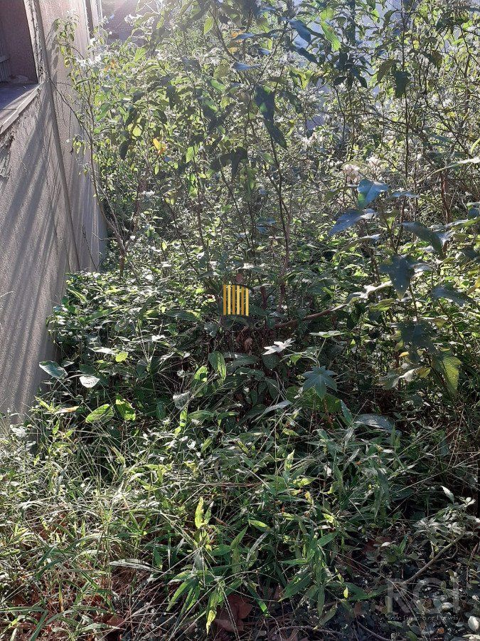 Terreno para Venda - 0m², 0 dormitórios, Rio Branco