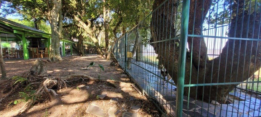 Venda Casa maravilhosa em terreno de 8.125m² com acesso ao Rio Guaiba,  na Estrada Retiro da Ponta Grossa - Porto Alegre