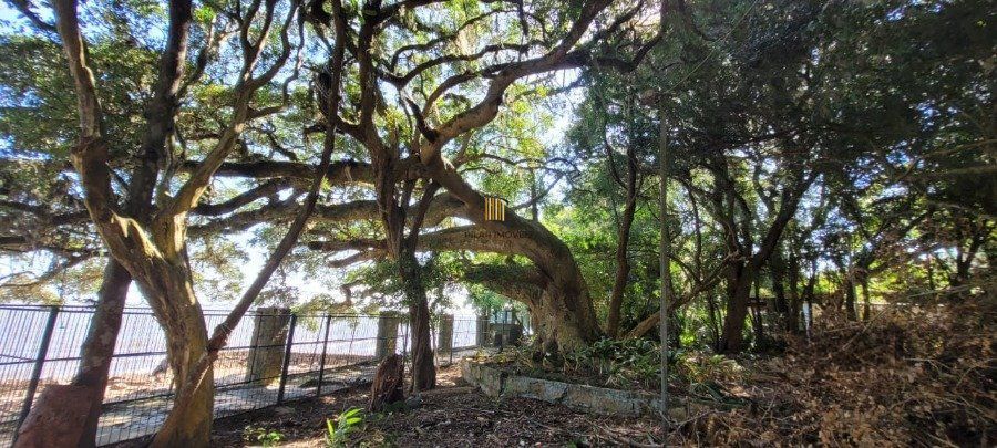 Venda Casa maravilhosa em terreno de 8.125m² com acesso ao Rio Guaiba,  na Estrada Retiro da Ponta Grossa - Porto Alegre