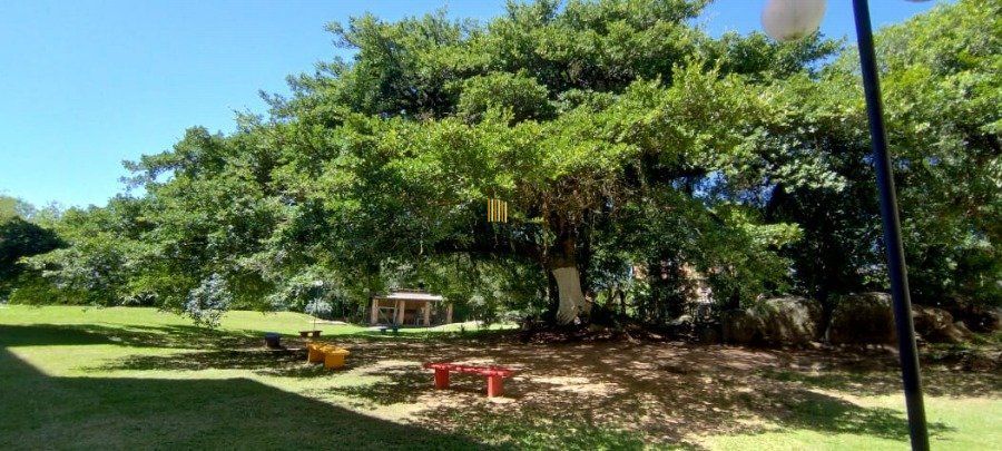 Apartamento 2 dormitórios no bairro Lomba do Pinheiro