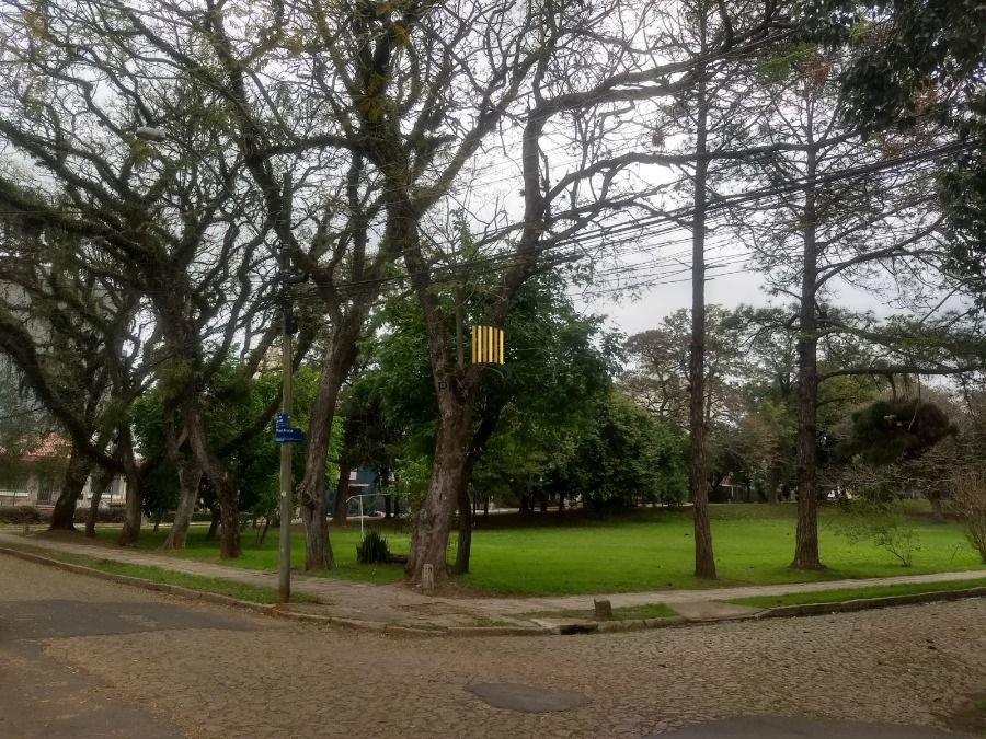 Apartamento 3 dormitórios no bairro Vila Ipiranga