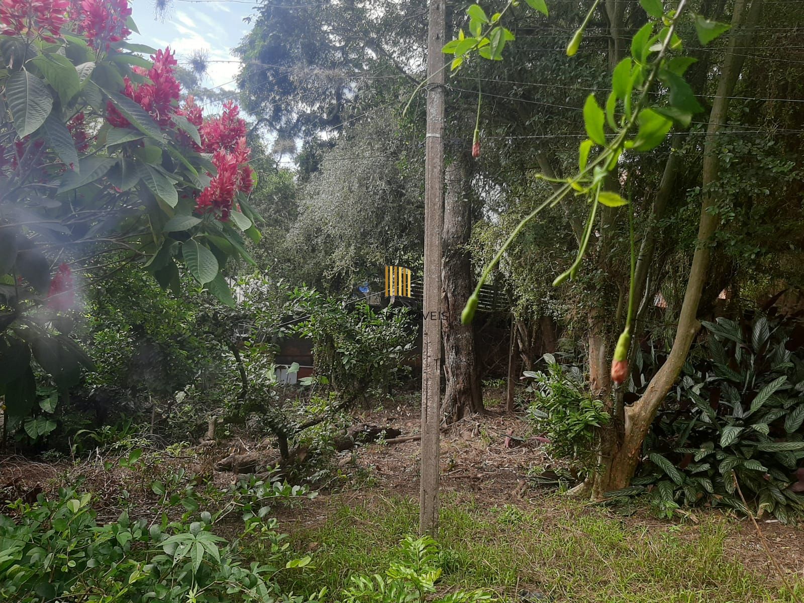 Terreno Bairro Viamópolis