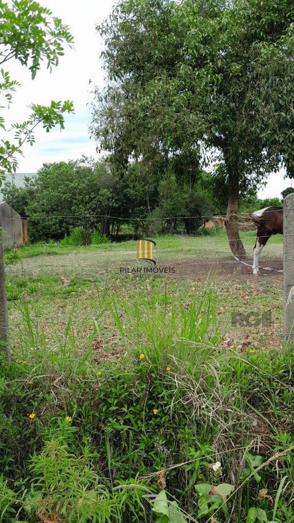 Terreno 1.000m² no bairro Lageado em Porto Alegre