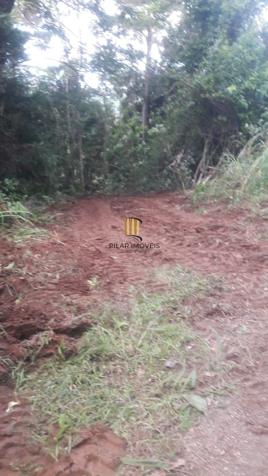 Terreno no bairro Padilha