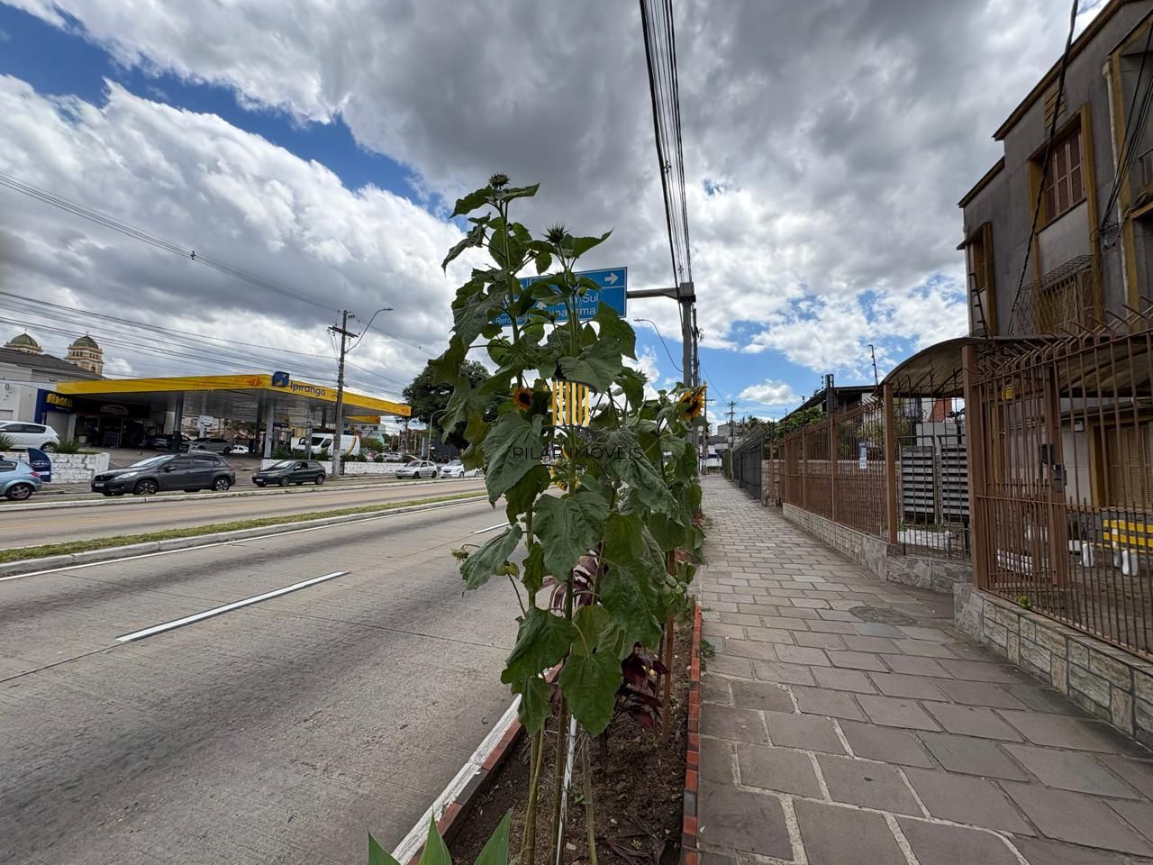 Apartamento 3 dormitórios na Glória!