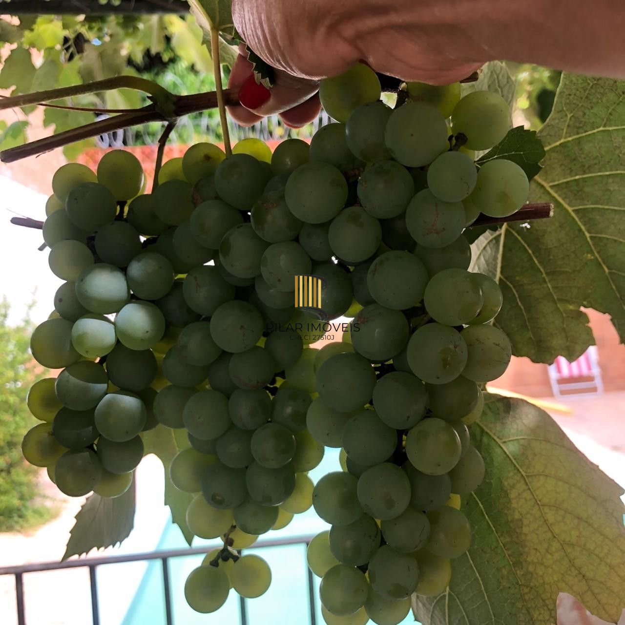 Casa com 4 Quartos e 3 banheiros de 223 m², perto da PUC à venda por R$ 697.000