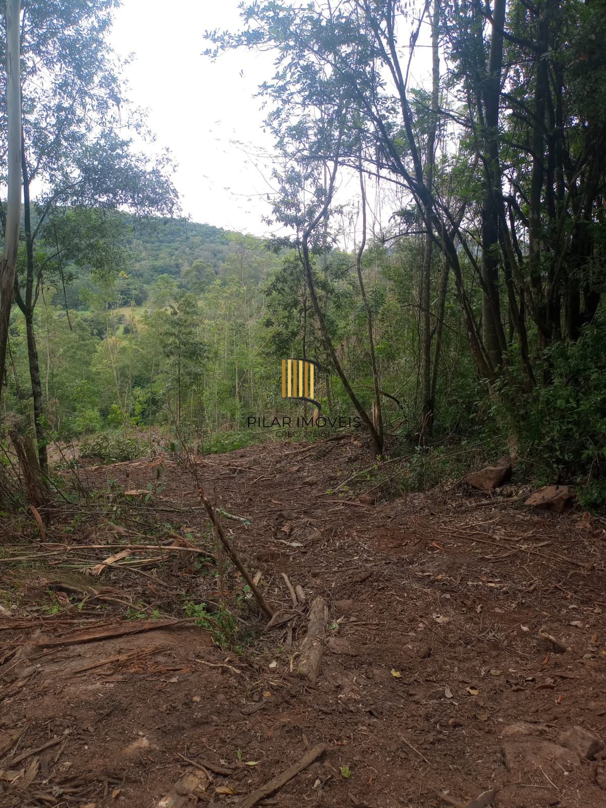 Terreno no bairro Padilha