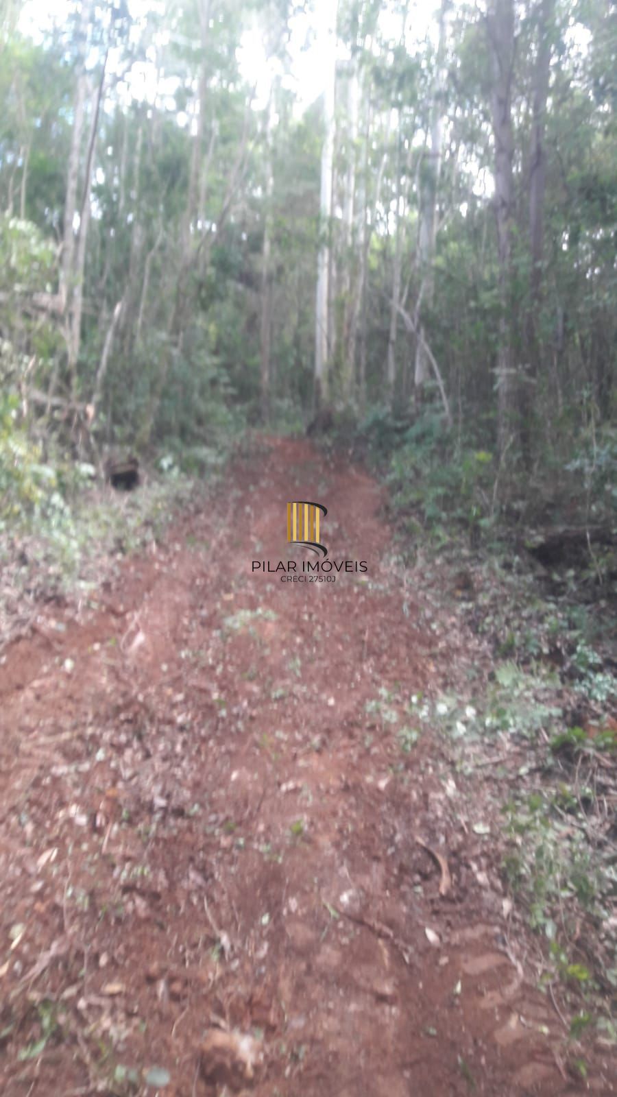 Terreno no bairro Padilha