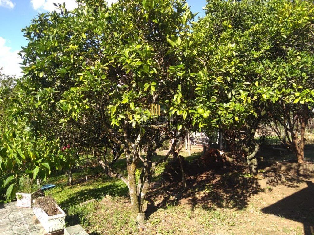 Casa para Venda - 120m², 3 dormitórios, 4 vagas - Krahe