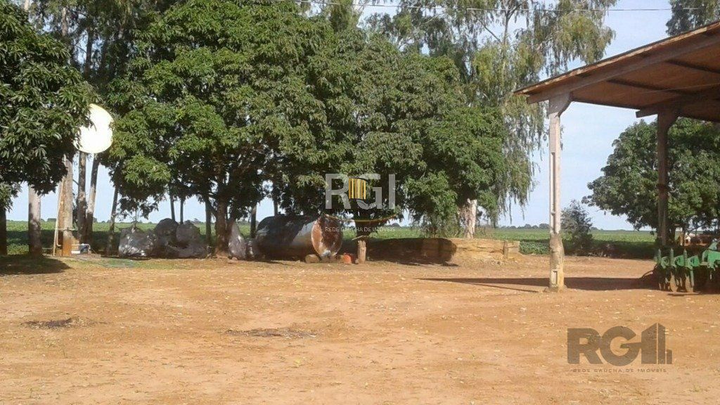 Fazenda no bairro Centro
