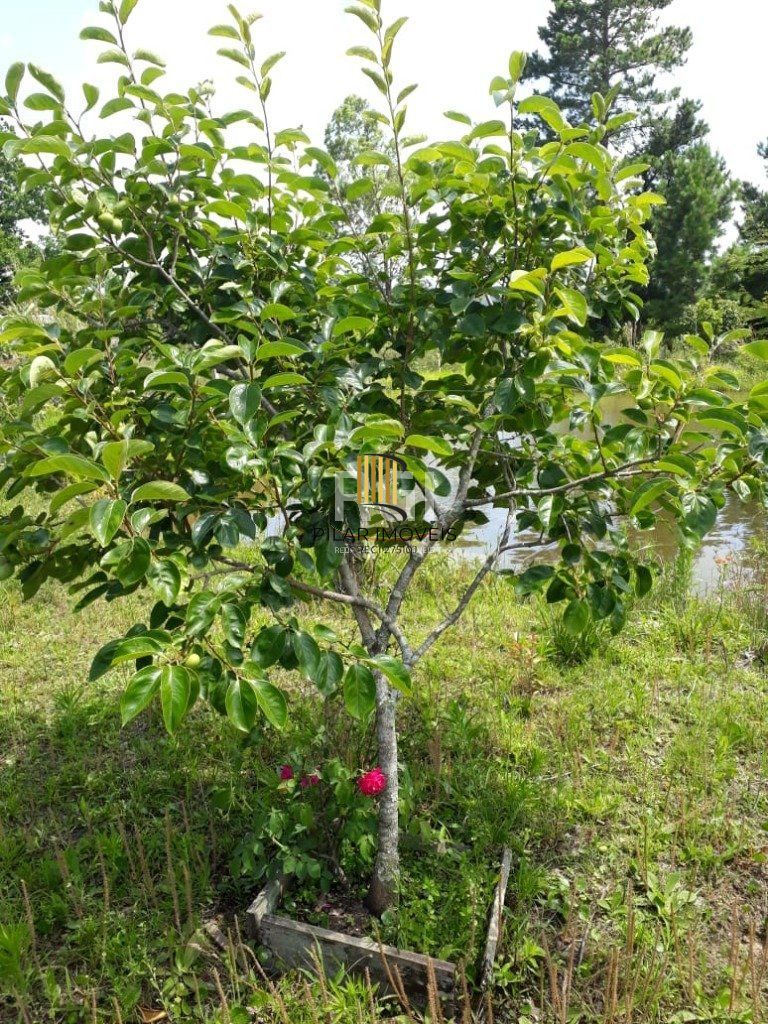 Terreno para Venda - 0m², 0 dormitórios, Itapuã