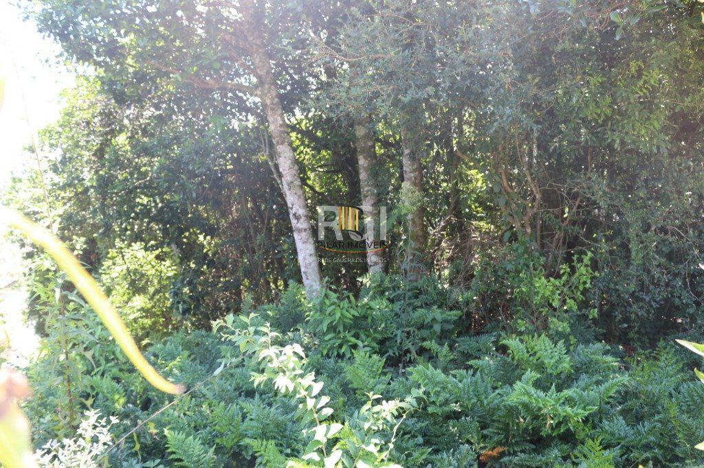 Terreno para Venda - 524.4m², 0 dormitórios, Teresópolis